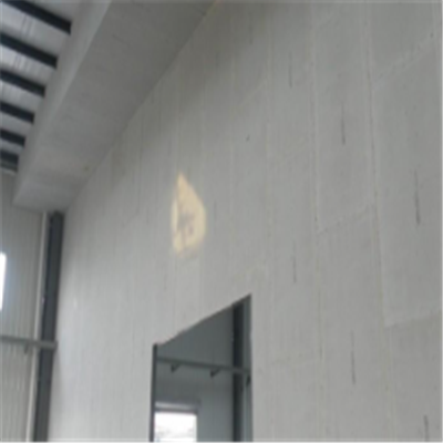 刘昊然宁波ALC板|EPS加气板隔墙与混凝土整浇联接的实验研讨